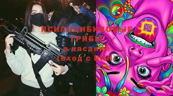 прущая мука Арсеньев
