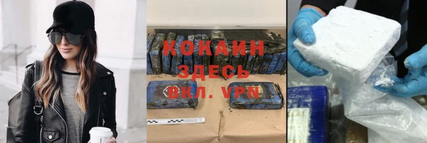 крисы Аркадак