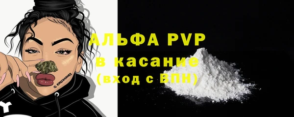 крисы Аркадак