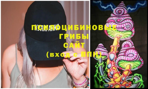 прущая мука Арсеньев