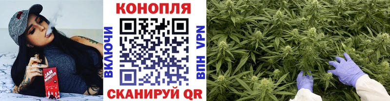 закладка  Волгоград  мега онион  Каннабис гибрид 